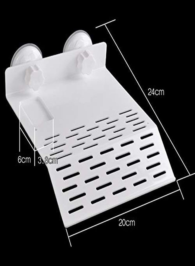 ويستيرن إرا منصة تشمس من العصر الغربي مع وعاء طعام وكأس شفط للسلاحف والزواحف وأحواض السمك والبرمائيات الصغيرة (حجم كبير) - Image 2